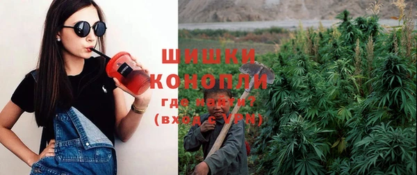 крисы Переславль-Залесский
