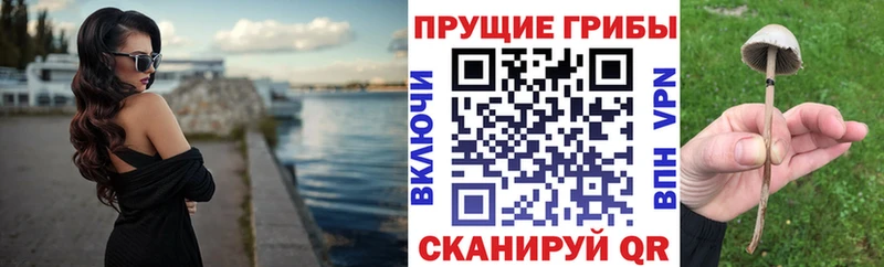 Галлюциногенные грибы мицелий  OMG маркетплейс  Новоульяновск 